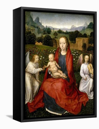 The Virgin and Child between two Angels, 1480-1490-Hans Memling-Framed Premier Image Canvas