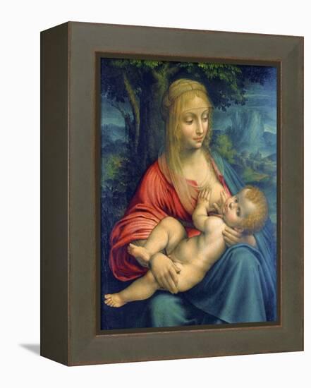 The Virgin and Child, C1511-Leonardo da Vinci-Framed Premier Image Canvas