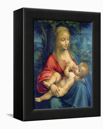 The Virgin and Child, C1511-Leonardo da Vinci-Framed Premier Image Canvas