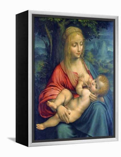 The Virgin and Child, C1511-Leonardo da Vinci-Framed Premier Image Canvas