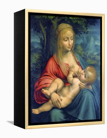 The Virgin and Child, C1511-Leonardo da Vinci-Framed Premier Image Canvas