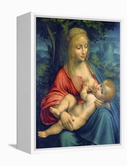 The Virgin and Child, C1511-Leonardo da Vinci-Framed Premier Image Canvas