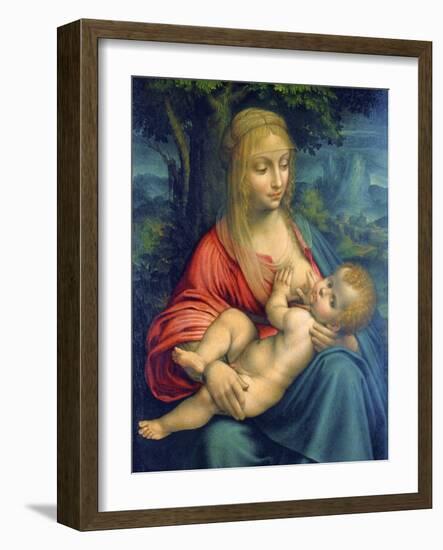 The Virgin and Child, C1511-Leonardo da Vinci-Framed Giclee Print