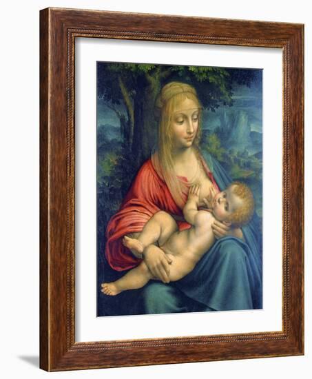 The Virgin and Child, C1511-Leonardo da Vinci-Framed Giclee Print