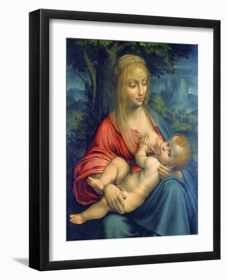 The Virgin and Child, C1511-Leonardo da Vinci-Framed Giclee Print