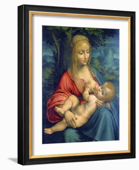 The Virgin and Child, C1511-Leonardo da Vinci-Framed Giclee Print