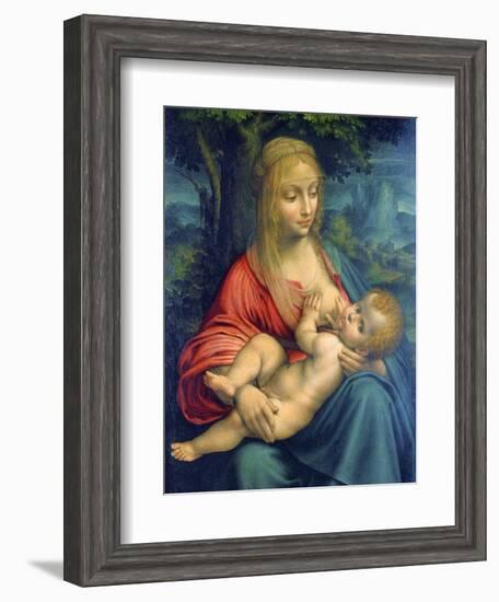 The Virgin and Child, C1511-Leonardo da Vinci-Framed Giclee Print