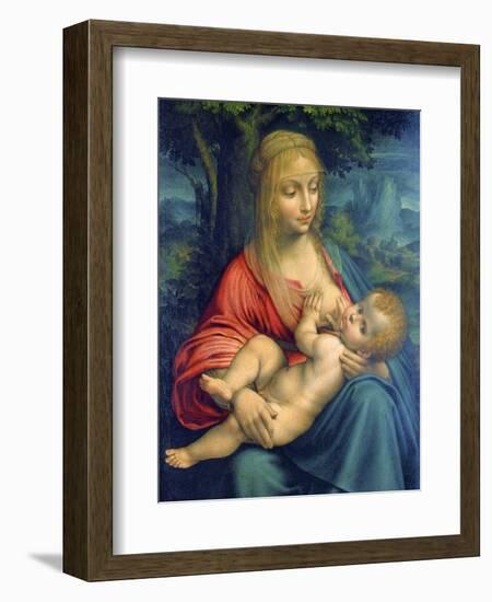 The Virgin and Child, C1511-Leonardo da Vinci-Framed Giclee Print