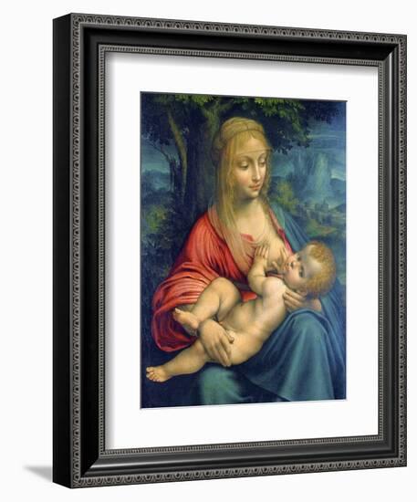 The Virgin and Child, C1511-Leonardo da Vinci-Framed Giclee Print