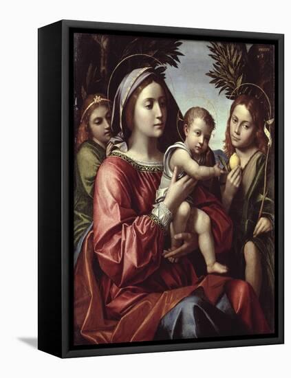 The Virgin and Child, St. John the Baptist and an Angel-Paolo Morando-Framed Premier Image Canvas