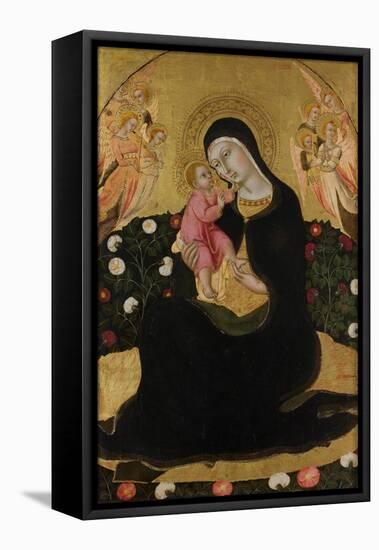 The Virgin and Child with Angels (Madonna of Humilit), Mid of the 15th C-Sano di Pietro-Framed Premier Image Canvas
