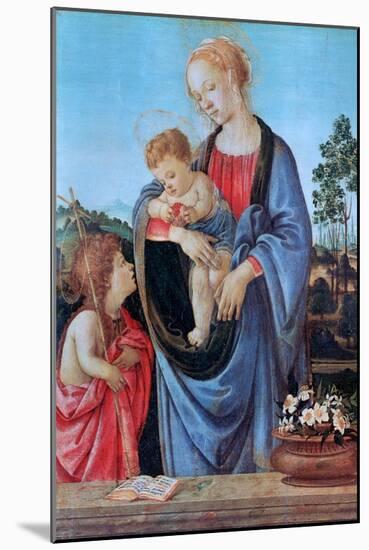 The Virgin and Child with Saint John, 1480-Filippino Lippi-Mounted Giclee Print