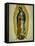 The Virgin of Guadaloupe, 1766-Miguel Cabrera-Framed Premier Image Canvas