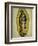 The Virgin of Guadaloupe, 1766-Miguel Cabrera-Framed Giclee Print