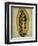 The Virgin of Guadaloupe, 1766-Miguel Cabrera-Framed Giclee Print