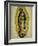 The Virgin of Guadaloupe, 1766-Miguel Cabrera-Framed Giclee Print