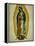 The Virgin of Guadaloupe, 1766-Miguel Cabrera-Framed Premier Image Canvas