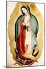 The Virgin of Guadalupe, Museo de America, Madrid, Spain-Miguel Cabrera-Mounted Giclee Print