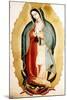 The Virgin of Guadalupe, Museo de America, Madrid, Spain-Miguel Cabrera-Mounted Premium Giclee Print
