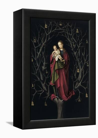 The Virgin of the Dry Tree, Ca 1465-Petrus Christus-Framed Premier Image Canvas