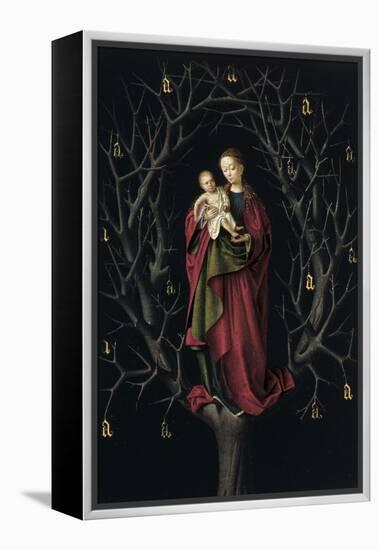 The Virgin of the Dry Tree, Ca 1465-Petrus Christus-Framed Premier Image Canvas