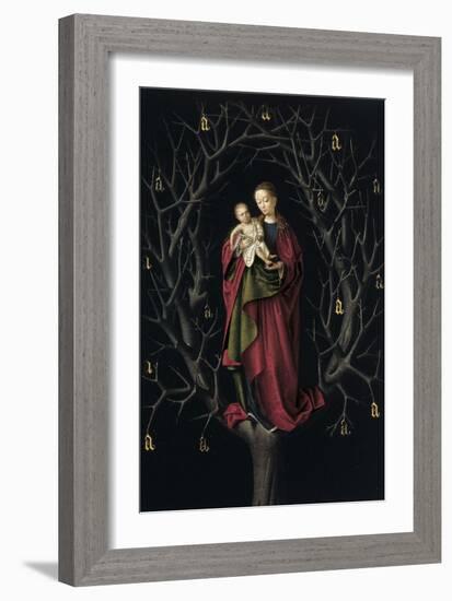 The Virgin of the Dry Tree, Ca 1465-Petrus Christus-Framed Giclee Print