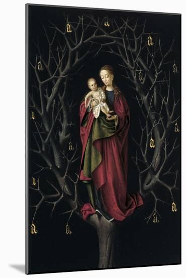 The Virgin of the Dry Tree, Ca 1465-Petrus Christus-Mounted Giclee Print