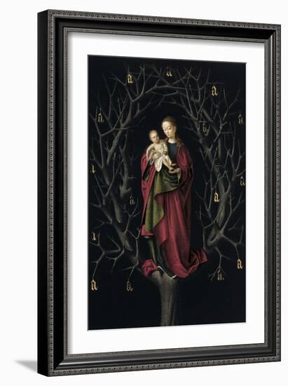 The Virgin of the Dry Tree, Ca 1465-Petrus Christus-Framed Giclee Print