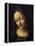 The Virgin of the Rocks Detail of Virgin-Leonardo da Vinci-Framed Premier Image Canvas