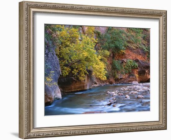 The Virgin River Flows Through the Narrows, Zion National Park, Utah, Usa-Dennis Flaherty-Framed Photographic Print