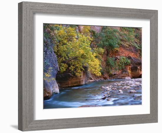 The Virgin River Flows Through the Narrows, Zion National Park, Utah, Usa-Dennis Flaherty-Framed Photographic Print