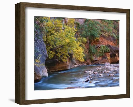 The Virgin River Flows Through the Narrows, Zion National Park, Utah, Usa-Dennis Flaherty-Framed Photographic Print