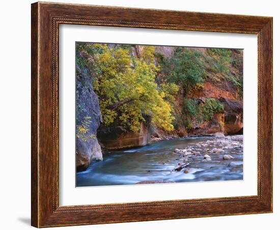 The Virgin River Flows Through the Narrows, Zion National Park, Utah, Usa-Dennis Flaherty-Framed Photographic Print