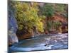 The Virgin River Flows Through the Narrows, Zion National Park, Utah, Usa-Dennis Flaherty-Mounted Photographic Print