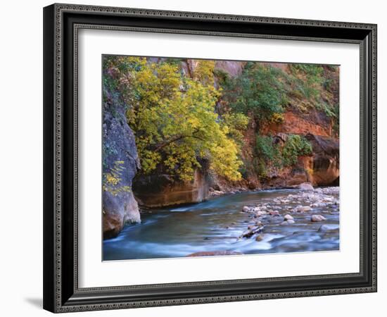 The Virgin River Flows Through the Narrows, Zion National Park, Utah, Usa-Dennis Flaherty-Framed Photographic Print