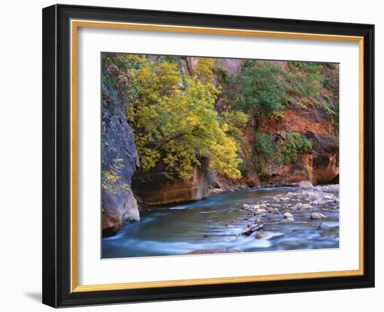 The Virgin River Flows Through the Narrows, Zion National Park, Utah, Usa-Dennis Flaherty-Framed Photographic Print