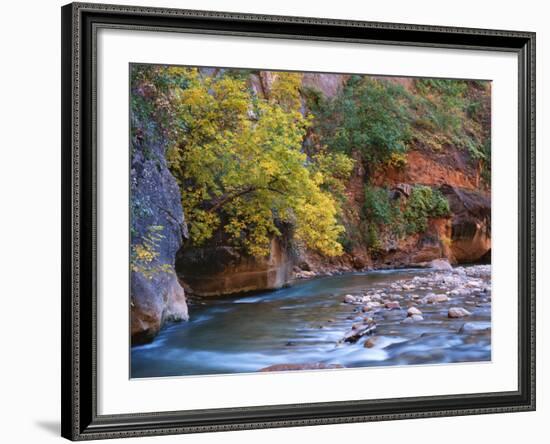 The Virgin River Flows Through the Narrows, Zion National Park, Utah, Usa-Dennis Flaherty-Framed Photographic Print