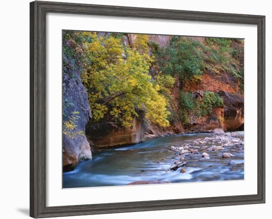 The Virgin River Flows Through the Narrows, Zion National Park, Utah, Usa-Dennis Flaherty-Framed Photographic Print