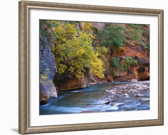 The Virgin River Flows Through the Narrows, Zion National Park, Utah, Usa-Dennis Flaherty-Framed Photographic Print