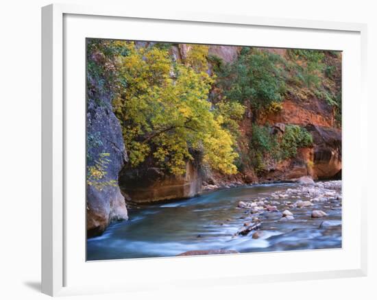 The Virgin River Flows Through the Narrows, Zion National Park, Utah, Usa-Dennis Flaherty-Framed Photographic Print