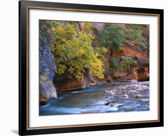 The Virgin River Flows Through the Narrows, Zion National Park, Utah, Usa-Dennis Flaherty-Framed Photographic Print