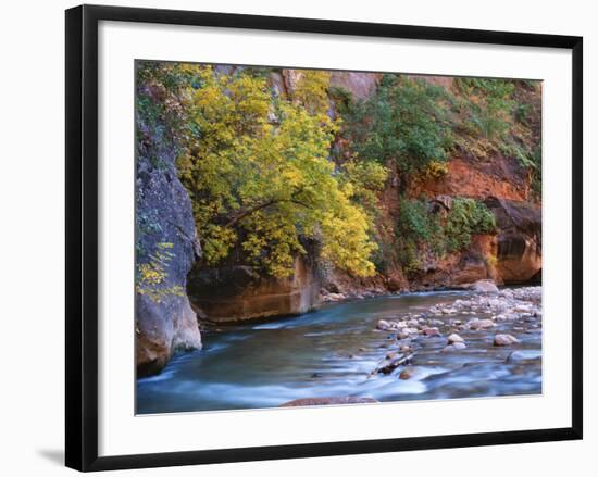 The Virgin River Flows Through the Narrows, Zion National Park, Utah, Usa-Dennis Flaherty-Framed Photographic Print