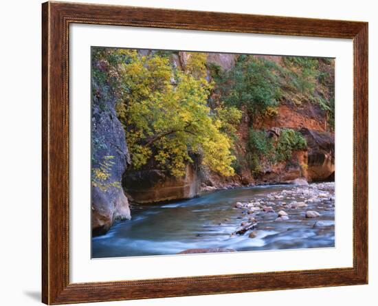 The Virgin River Flows Through the Narrows, Zion National Park, Utah, Usa-Dennis Flaherty-Framed Photographic Print