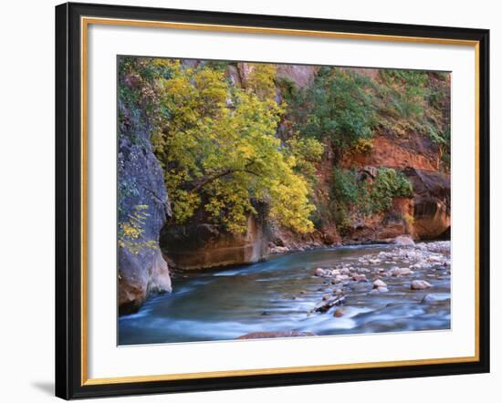 The Virgin River Flows Through the Narrows, Zion National Park, Utah, Usa-Dennis Flaherty-Framed Photographic Print