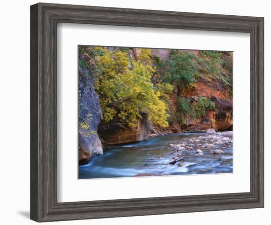 The Virgin River Flows Through the Narrows, Zion National Park, Utah, Usa-Dennis Flaherty-Framed Photographic Print