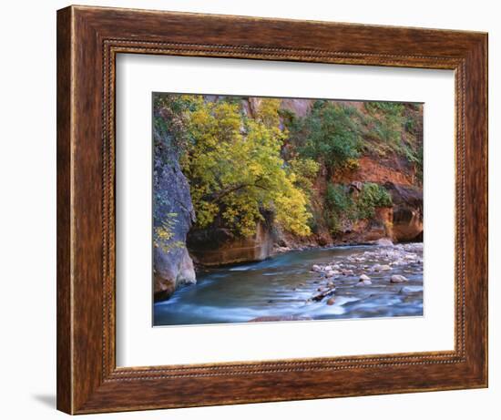 The Virgin River Flows Through the Narrows, Zion National Park, Utah, Usa-Dennis Flaherty-Framed Photographic Print