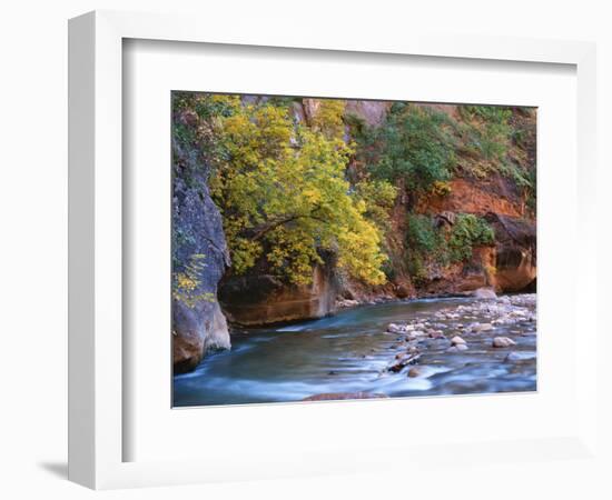 The Virgin River Flows Through the Narrows, Zion National Park, Utah, Usa-Dennis Flaherty-Framed Photographic Print