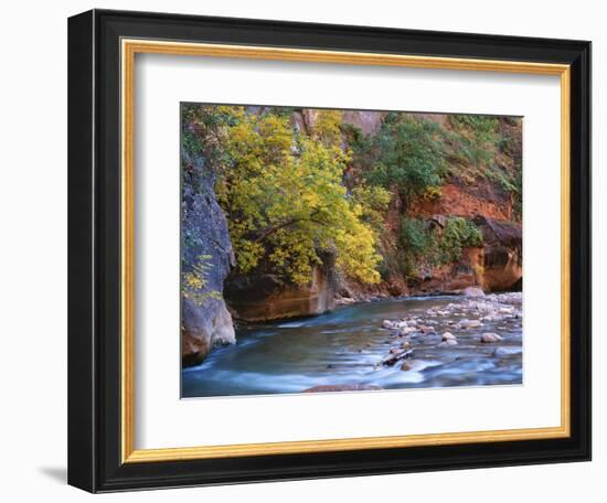 The Virgin River Flows Through the Narrows, Zion National Park, Utah, Usa-Dennis Flaherty-Framed Photographic Print