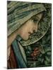 The Virgin's Face, Detail from the Adoration of the Magi, William Morris and Co. Merton Abbey-Burne-Jones & Morris-Mounted Giclee Print