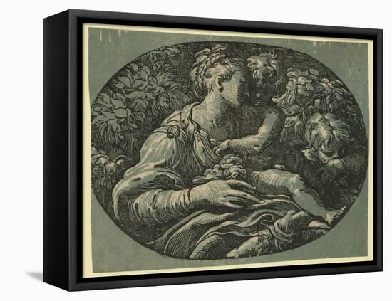 The Virgin-Parmigianino-Framed Premier Image Canvas